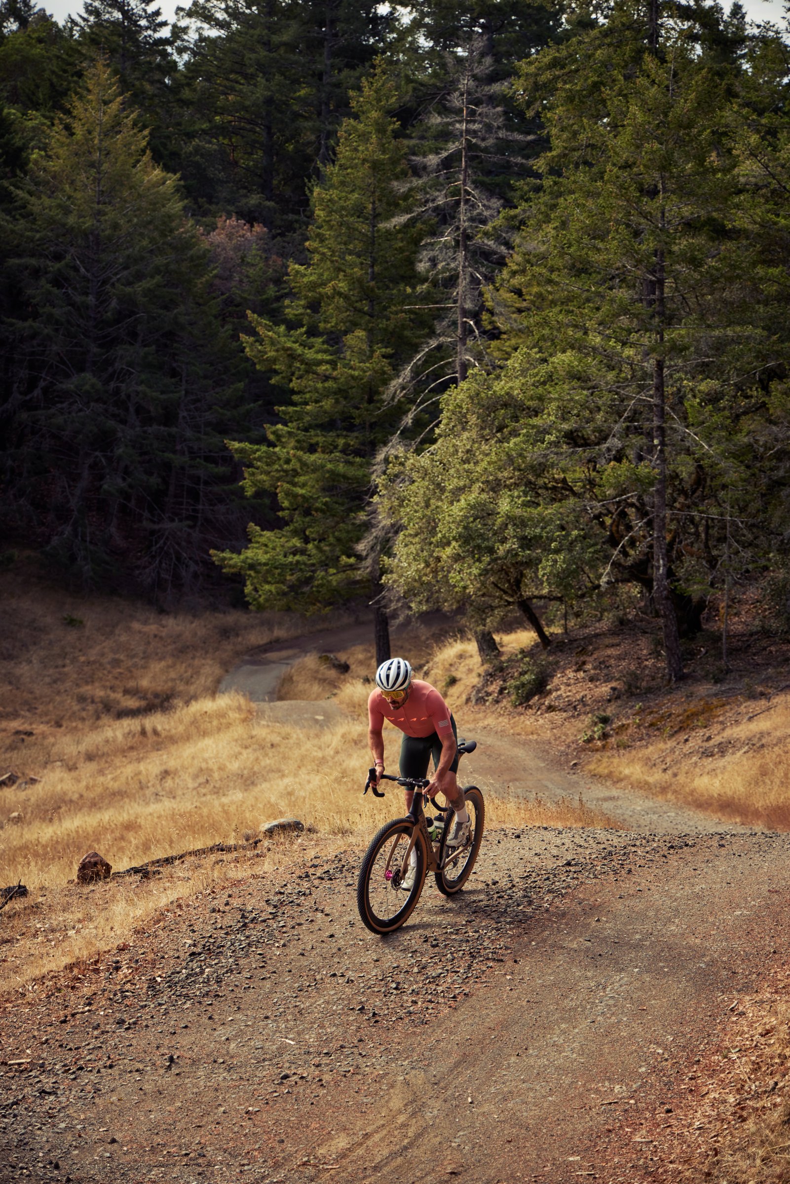 Gravel through the redwoods
