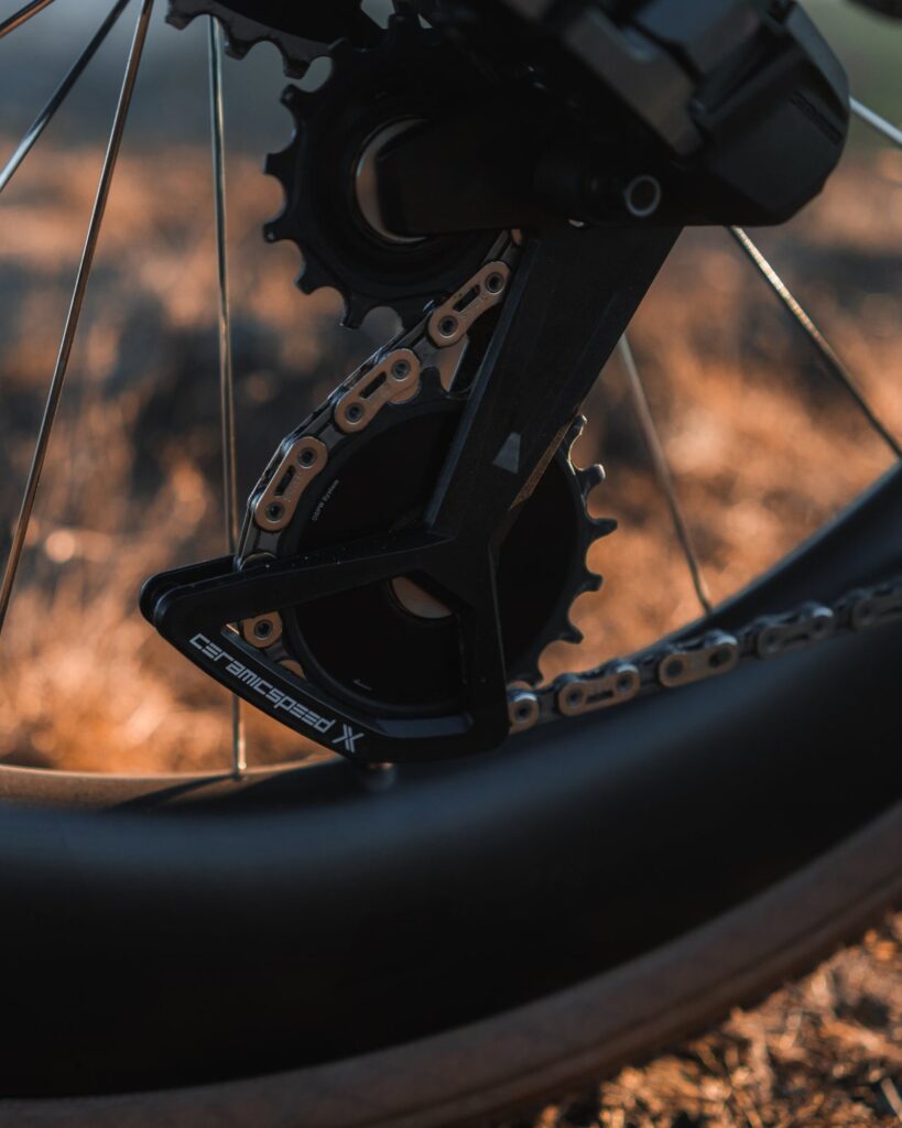 Rear derailleur and spokes on the Dogma GR