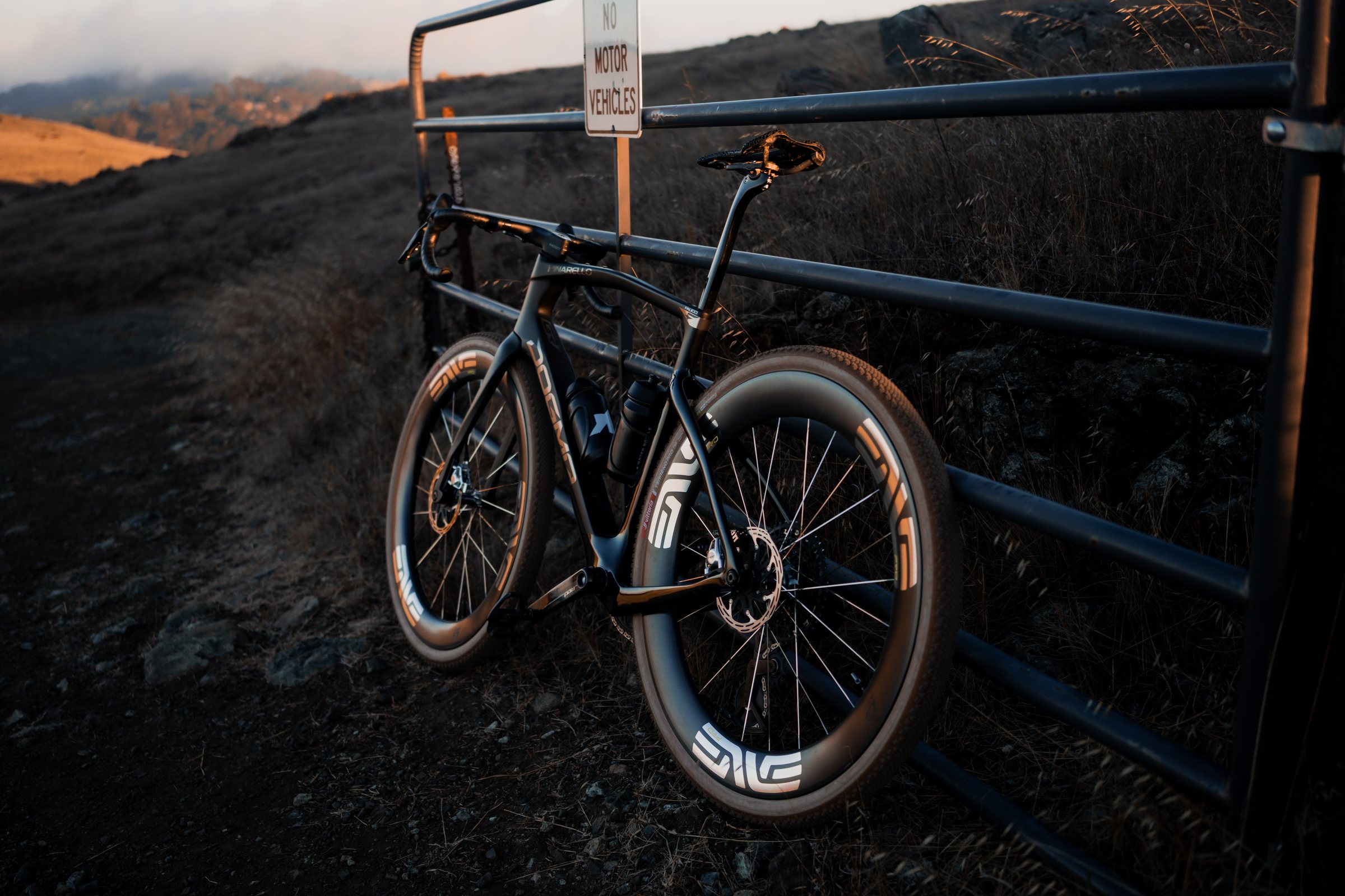 The Dogma GR leaning against a metal gate